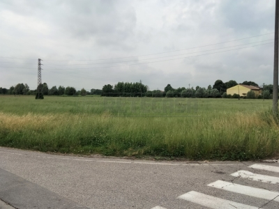 immagine annuncio 5 di 6