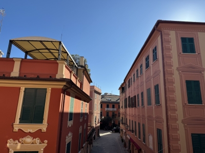 immagine annuncio 4 di 9