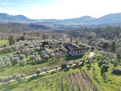 immagine annuncio 4 di 9