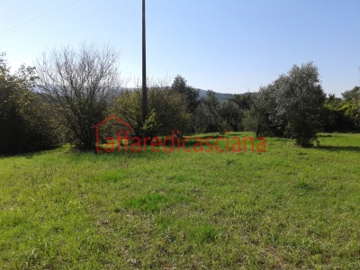 immagine annuncio 5 di 9