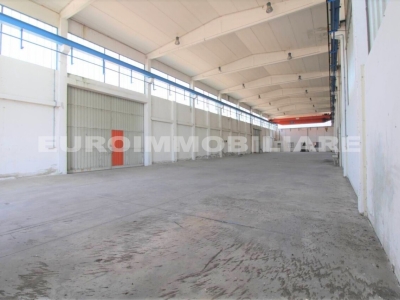 immagine annuncio 5 di 9