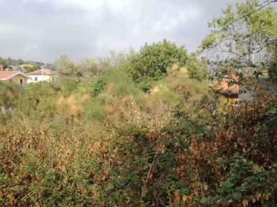 immagine annuncio 5 di 6