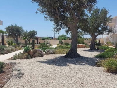 immagine annuncio 7 di 9