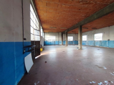 immagine annuncio 1 di 9