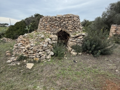 immagine annuncio 5 di 9