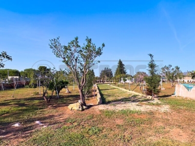 immagine annuncio 8 di 9