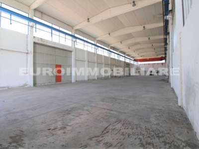 immagine annuncio 7 di 9