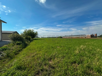 immagine annuncio 4 di 9