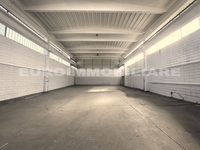 immagine annuncio 6 di 9