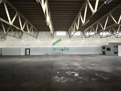 immagine annuncio 5 di 9