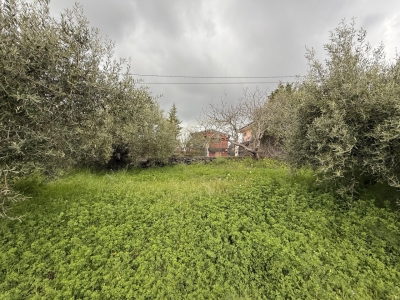 immagine annuncio 4 di 9