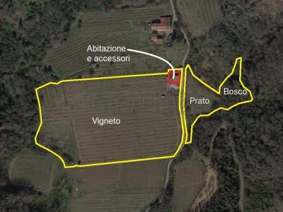 immagine annuncio 1 di 9