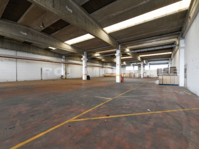 immagine annuncio 7 di 9