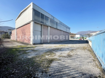 immagine annuncio 2 di 9