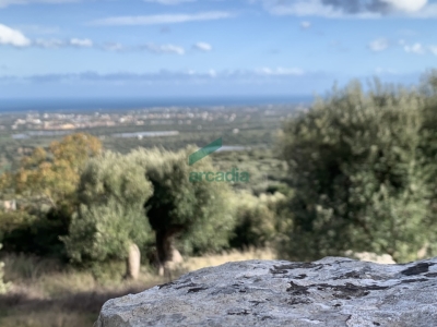immagine annuncio 5 di 9