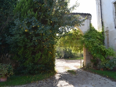 immagine annuncio 6 di 9