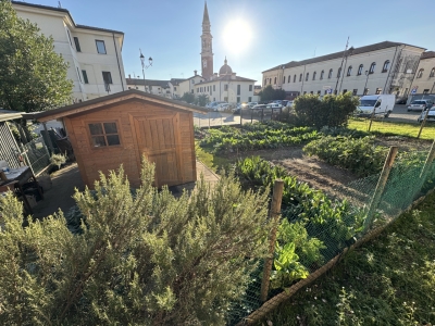 immagine annuncio 2 di 9