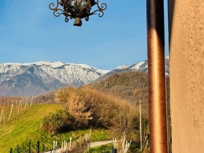 immagine annuncio 1 di 9