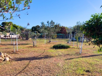 immagine annuncio 3 di 9