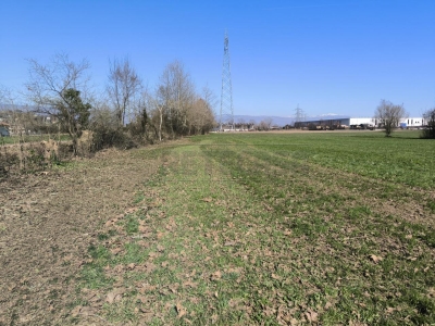 immagine annuncio 4 di 9