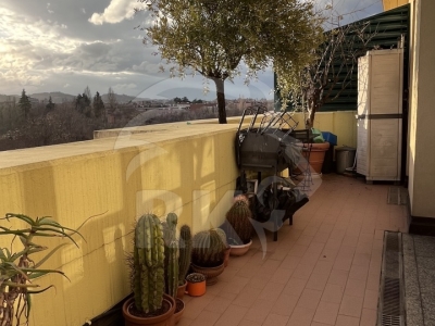 immagine annuncio 4 di 9