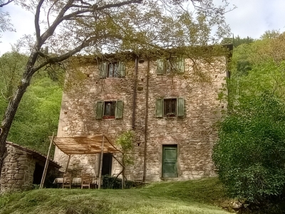 immagine annuncio 1 di 9