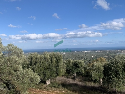 immagine annuncio 6 di 9