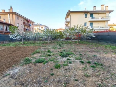 immagine annuncio 4 di 7