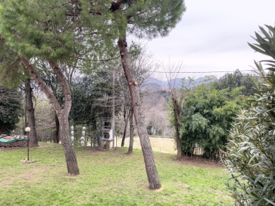 immagine annuncio 7 di 9