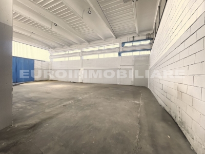 immagine annuncio 7 di 9