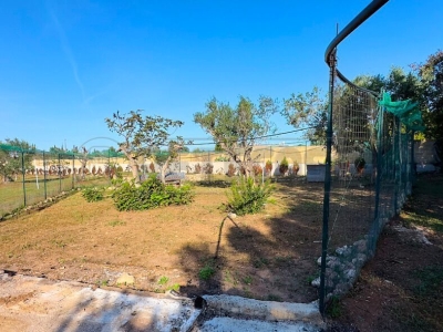 immagine annuncio 5 di 9