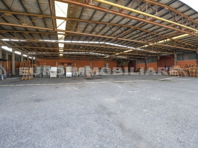 immagine annuncio 3 di 9