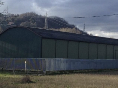 immagine annuncio 3 di 7