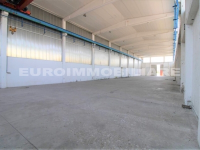 immagine annuncio 4 di 9