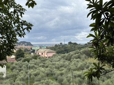 immagine annuncio 4 di 9