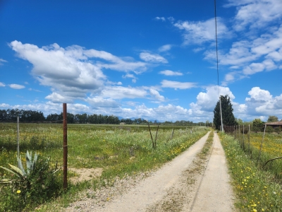 immagine annuncio 1 di 3