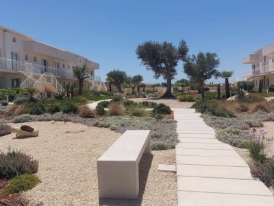 immagine annuncio 6 di 9