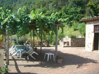 immagine annuncio 7 di 9