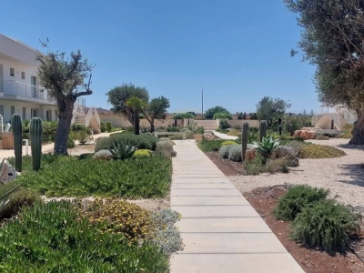 immagine annuncio 5 di 9