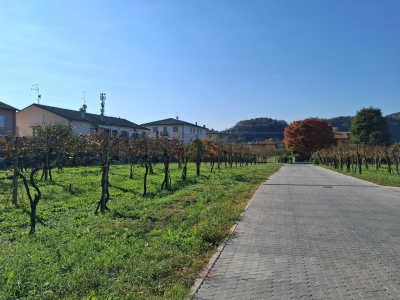 immagine annuncio 2 di 3