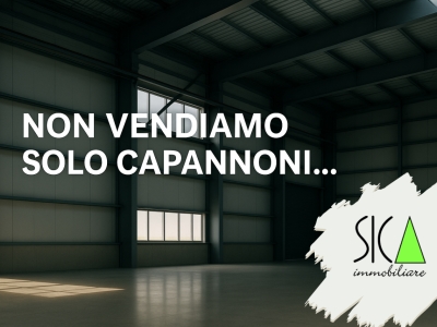 immagine annuncio 1 di 4