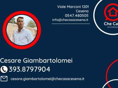 immagine annuncio 7 di 8