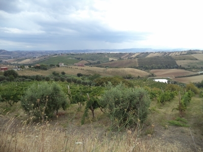 immagine annuncio 3 di 9