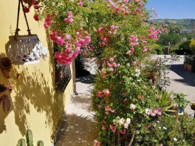 immagine annuncio 4 di 9