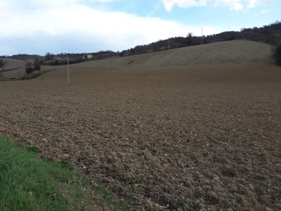 immagine annuncio 3 di 8