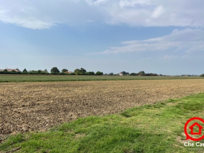 immagine annuncio 5 di 8