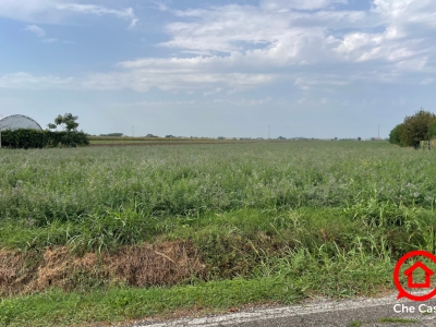 immagine annuncio 3 di 6