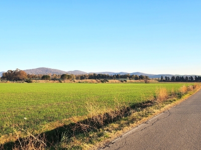 immagine annuncio 3 di 9