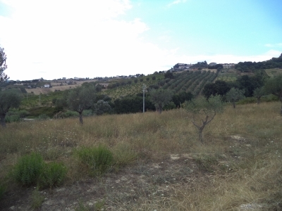 immagine annuncio 5 di 9