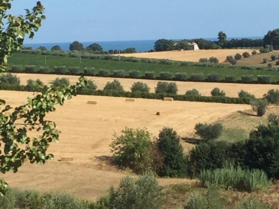 immagine annuncio 5 di 9